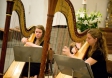 American Youth Harp Ensemble