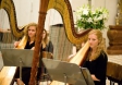 American Youth Harp Ensemble