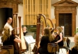 American Youth Harp Ensemble