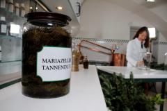 Adventroas in Mariazell - Foto: Degn Film