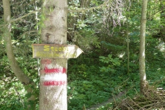 Seebergalm - Göriacher Alm - Hochanger | Foto: Mariazell Online