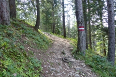 Seebergalm - Göriacher Alm - Hochanger | Foto: Mariazell Online