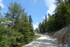 Seebergalm - Göriacher Alm - Hochanger | Foto: Mariazell Online