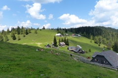 Seebergalm - Göriacher Alm - Hochanger | Foto: Mariazell Online