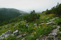 Hochstadl, Foto: Mariazell Online