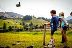 Hoffest Familie Eder, Foto: Anna Scherfler