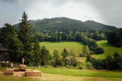 Hoffest Familie Eder, Foto: Anna Scherfler