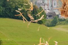 Hoffest Familie Eder, Foto: Anna Scherfler