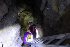 Hohlensteinhöhle Hohlensteinhöhle
