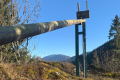 Der Hollerleiten-Christbaum