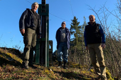 Der Hollerleiten-Christbaum