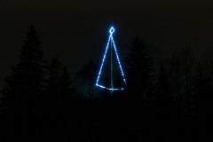 Der Hollerleiten-Christbaum