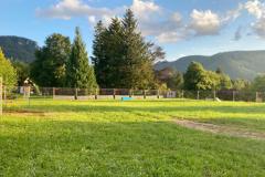 Hundeplatz - Foto: Cornelia Fluch