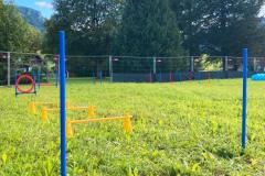 Hundeplatz - Foto: Cornelia Fluch