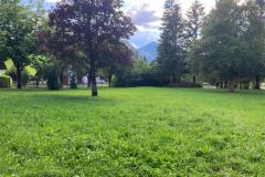 Hundewiese - Foto: Cornelia Fluch