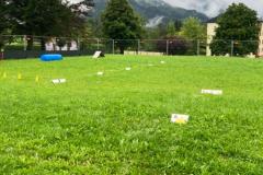 Hundeplatz - Foto: Cornelia Fluch