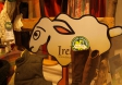 Irische Wochen Irische Wochen