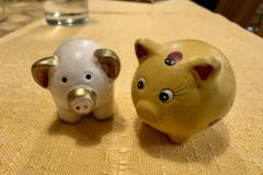 Jahreswechsel Salzatal, Foto: Ing. Franz Peter Stadler