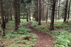Foto: Josiberg Trails
