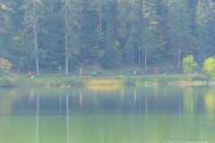 Krebsforschungslauf 2021 - Foto: Mariazell Online