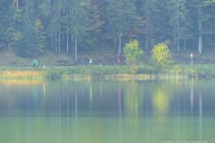 Krebsforschungslauf 2021 - Foto: Mariazell Online