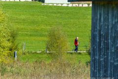 Krebsforschungslauf 2021 - Foto: Mariazell Online