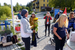 Krebsforschungslauf 2023 am Erlaufsee - Foto: Mariazell Online