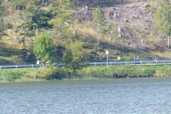 Krebsforschungslauf 2023 am Erlaufsee - Foto: Mariazell Online