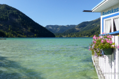 Krebsforschungslauf 2023 am Erlaufsee - Foto: Mariazell Online