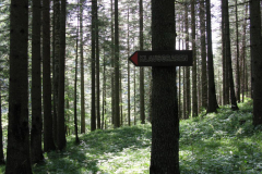 Klausgraben, Foto: Mariazell Online