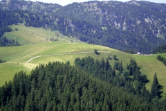 Dürriegelalm