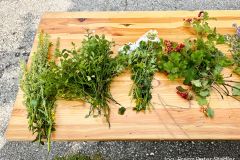 Kräuterbüscherlbinden und Kräutersegnung 2025 - Foto: Franz Peter Stadler