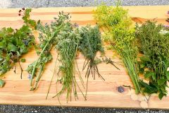 Kräuterbüscherlbinden und Kräutersegnung 2025 - Foto: Franz Peter Stadler