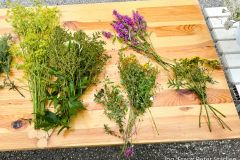 Kräuterbüscherlbinden und Kräutersegnung 2025 - Foto: Franz Peter Stadler