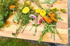 Kräuterbüscherlbinden und Kräutersegnung 2025 - Foto: Franz Peter Stadler