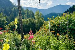 Kräuterbüscherlbinden und Kräutersegnung 2025 - Foto: Franz Peter Stadler