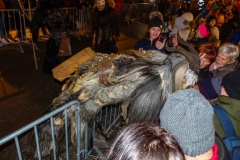 Mariazeller Krampuslauf 2018 - Foto: Mariazell Online, Ing. Werner Girrer