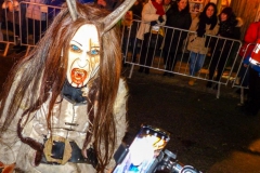 Mariazeller Krampuslauf 2018 - Foto: Mariazell Online, Ing. Werner Girrer