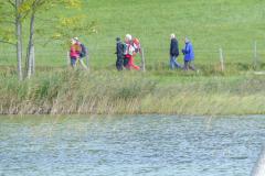 Krebsforschungslauf 2020 am Erlaufsee - Foto: Mariazell Online