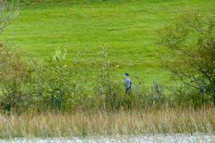 Krebsforschungslauf 2020 am Erlaufsee - Foto: Mariazell Online