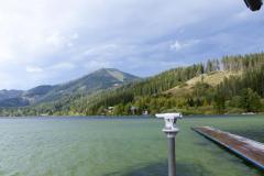 Krebsforschungslauf 2020 am Erlaufsee - Foto: Mariazell Online