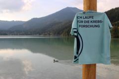 6. "Mariazeller Krebsforschungslauf" am Erlaufsee - Foto: Ulrike Schweiger