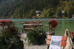 6. "Mariazeller Krebsforschungslauf" am Erlaufsee - Foto: Ulrike Schweiger