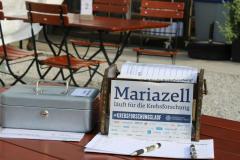 6. "Mariazeller Krebsforschungslauf" am Erlaufsee - Foto: Ulrike Schweiger