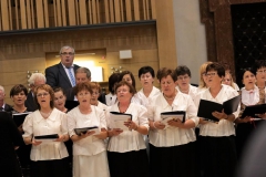 Foto: Basilika Mariazell/Anna Scherfler