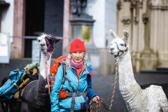 Lamasegnung - Foto: Anna Scherfler