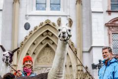 Lamasegnung - Foto: Anna Scherfler