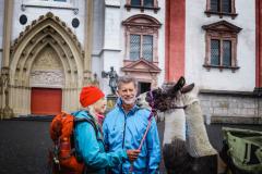 Lamasegnung - Foto: Anna Scherfler