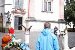 Lamasegnung - Foto: Anna Scherfler