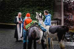 Lamasegnung - Foto: Anna Scherfler